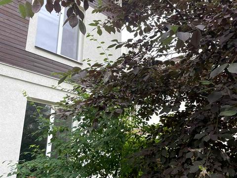 будинок за адресою Лінії