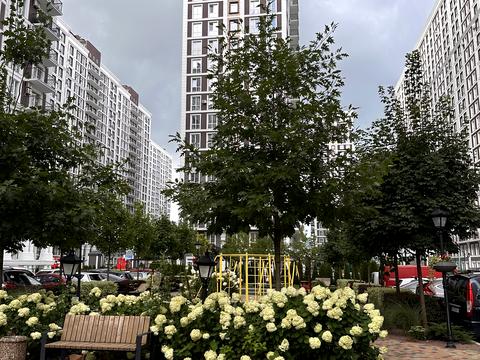 квартира за адресою Михайла Максимовича вул. (Онуфрія Трутенка), 24-Б