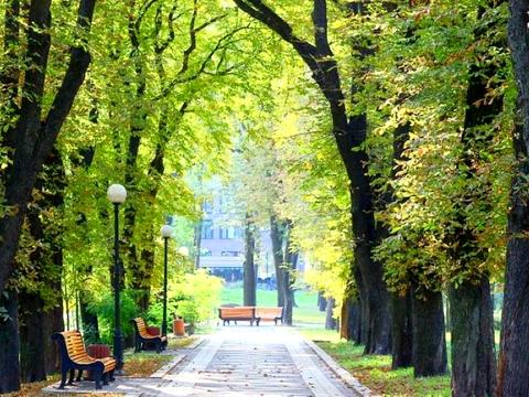квартира за адресою Академіка Богомольця вул., 7/14