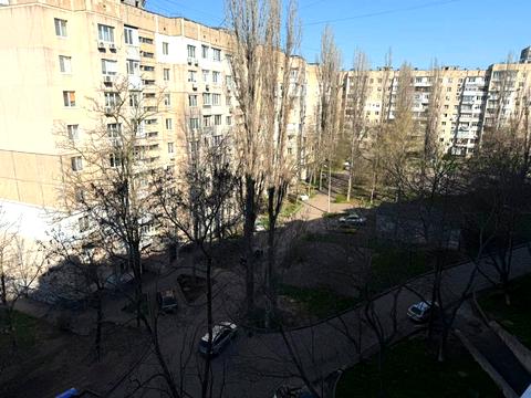 квартира по адресу Ильфа и Петрова ул., 31