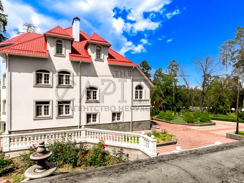 комерційна за адресою Патріарха Володимира Романюка вул. (Жовтнева), 2Б
