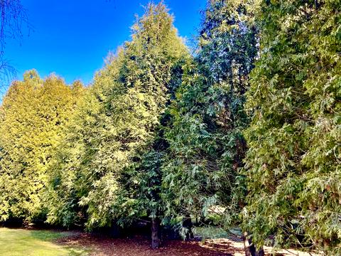 будинок за адресою Янтарная, 14