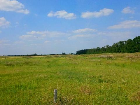 ділянка за адресою полевая