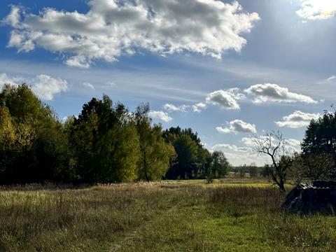 ділянка за адресою Чубаря