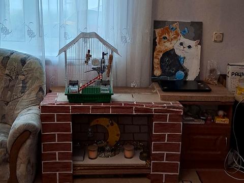 квартира по адресу Олега Куцина ул. (Климента Тімірязєва), 18