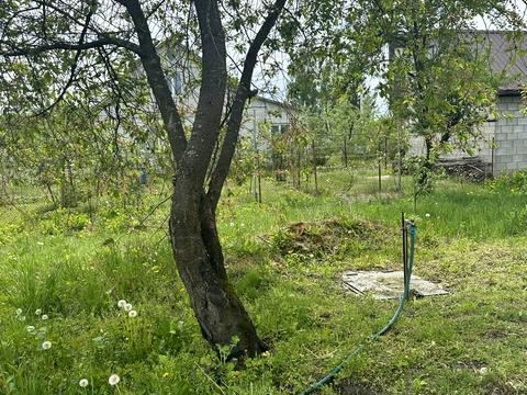 дом по адресу с. Крехаев, Лесі Українки