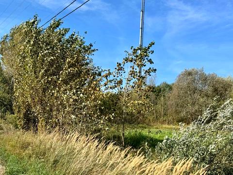 комерційна за адресою Центральна вул., 21