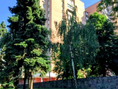 квартира по адресу Дмитрия Яворницкого просп. (Карла Маркса), 45-А