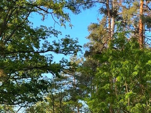 дом по адресу вулиця Дахнівська, 25