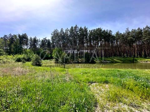 будинок за адресою Бориспільський