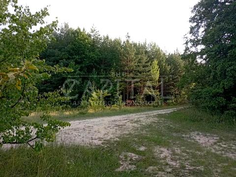 ділянка за адресою Биківнянська вул.