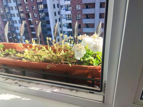 квартира за адресою Валерія Лобановського просп., 150-Д