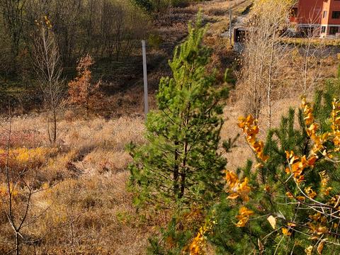 участок по адресу Фермерская ул.