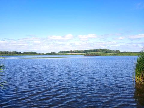 ділянка за адресою с. Пилява, Набережна, 1