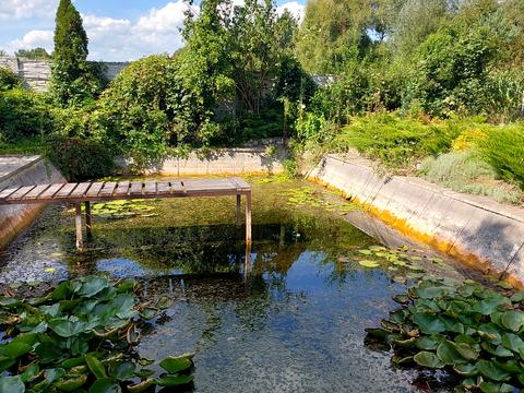 дом по адресу Барское шоссе