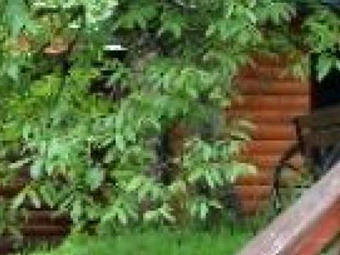 будинок за адресою Камянка, 48