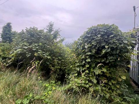 ділянка за адресою Олександра Архипенка вул.