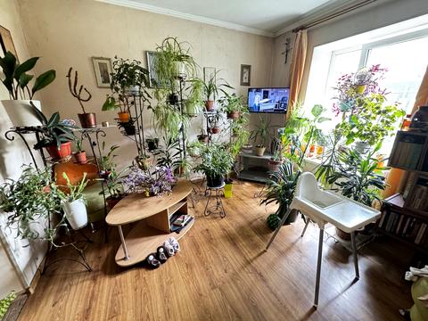 квартира за адресою Марійки Підгірянки вул., 25