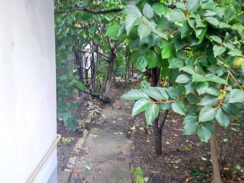 квартира по адресу Лазарева, 10