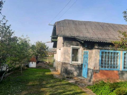 дом по адресу Левицького, 235