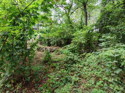 ділянка за адресою кичєївська