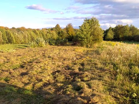 участок по адресу 