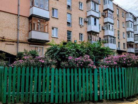 квартира по адресу Евгения Тельнова ул., 9 к1