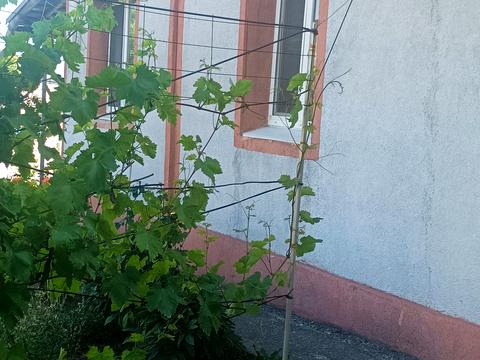 будинок за адресою Наливайка Северина вул.
