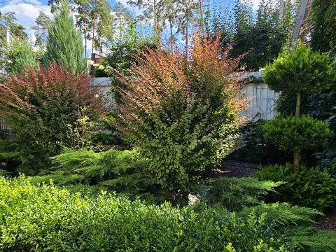 дом по адресу Провулок революції