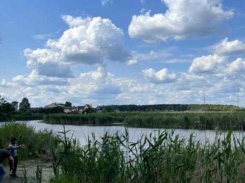 ділянка за адресою с. Новоселівка, Центральна, 52