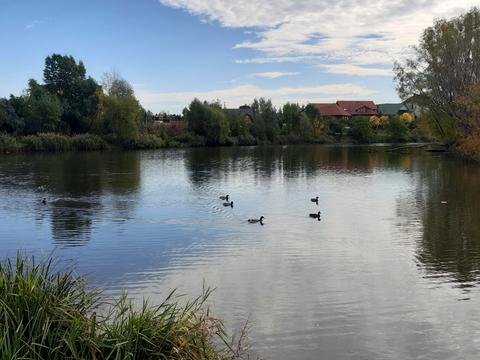будинок за адресою с. Шапіївка, Ювілейний провулок
