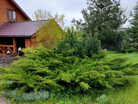 будинок за адресою Івана Франка, 11а