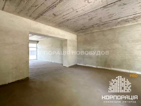 комерційна за адресою Ужгород, Капушанська вул., 170
