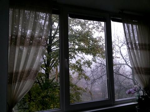квартира за адресою Виставкова вул. (Полковника Потєхіна), 5