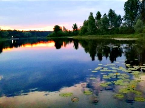 ділянка за адресою с. Хотянівка, 