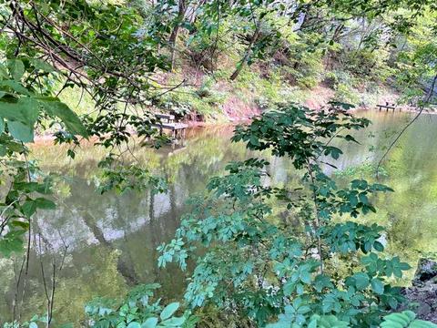 дом по адресу Первомайская ул.