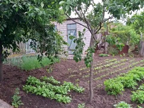 будинок за адресою Щитова вул.