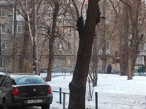 комерційна за адресою Митрополита Василя Липківського вул. (Урицького), 40