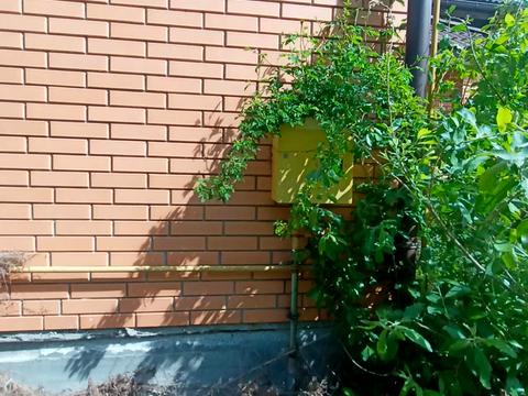 дом по адресу Дачная ул.