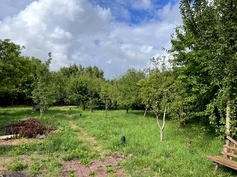 будинок за адресою Центральна вул., 211