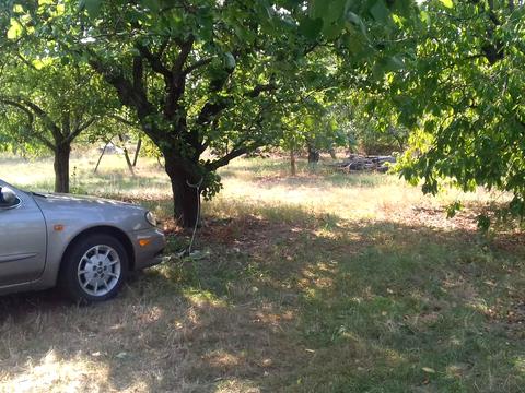 ділянка за адресою Вільне