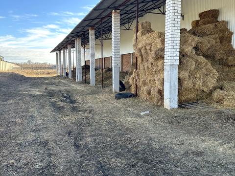 дом по адресу Центральна