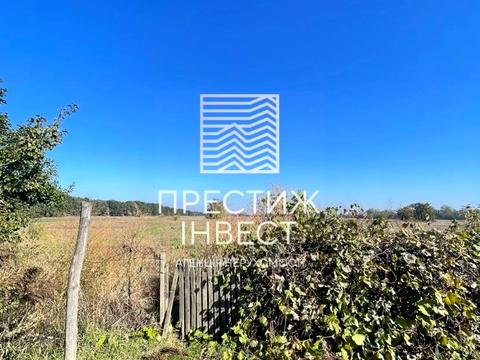 будинок за адресою с. Васильки, Озерна