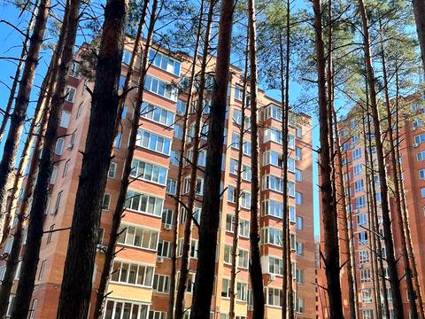 квартира по адресу Олени Теліги ул. (Лермонтова), 2-Г