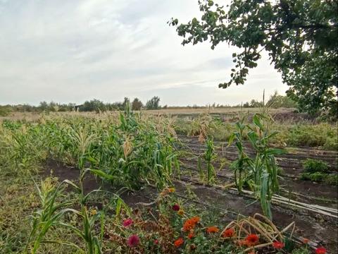 дом по адресу Центральна, 1а