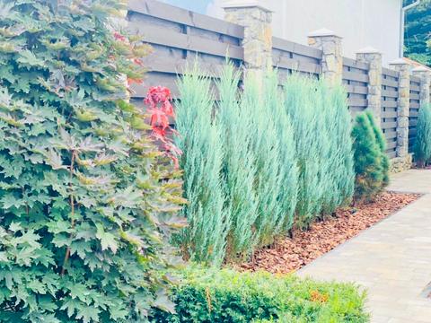 будинок за адресою Генерала Арабея вул.