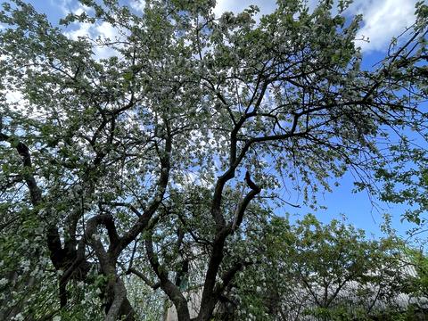 будинок за адресою смт. Ворзель, Яблунська вул. (Кірова), 3