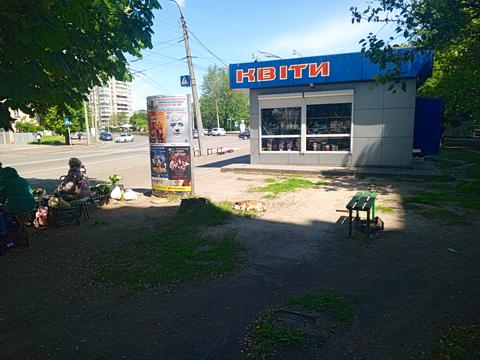 квартира по адресу Сенная ул. (Добровольського), 15