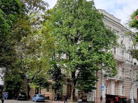 комерційна за адресою Садова вул., 9
