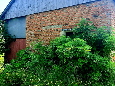 дом по адресу Зеленогайська 529, 529